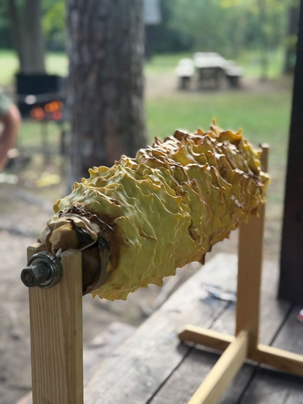 Sękacz